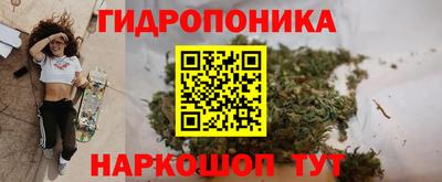 амф Ливны