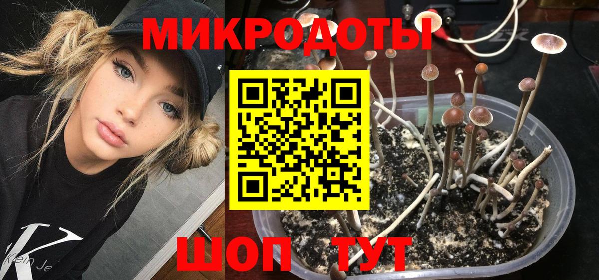 Калининград  Галлюциногенные грибы Psilocybine cubensis  Вход с VPN 