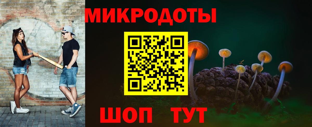 Псилоцибиновые грибы Cubensis Калининград